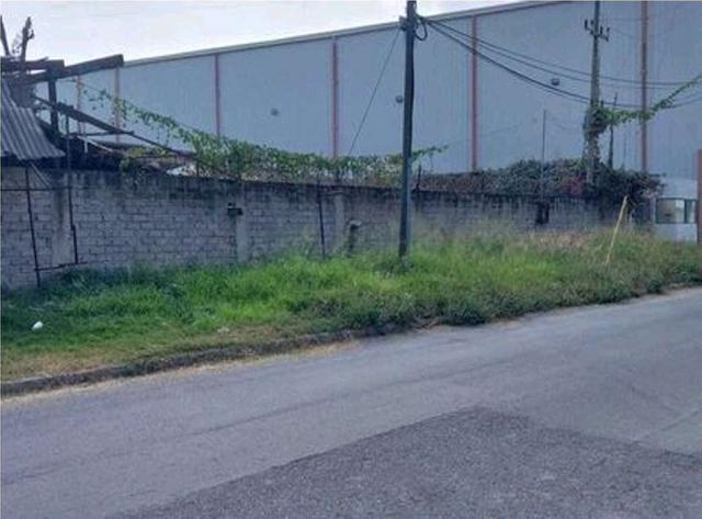 Foto de la galeria de imagenes