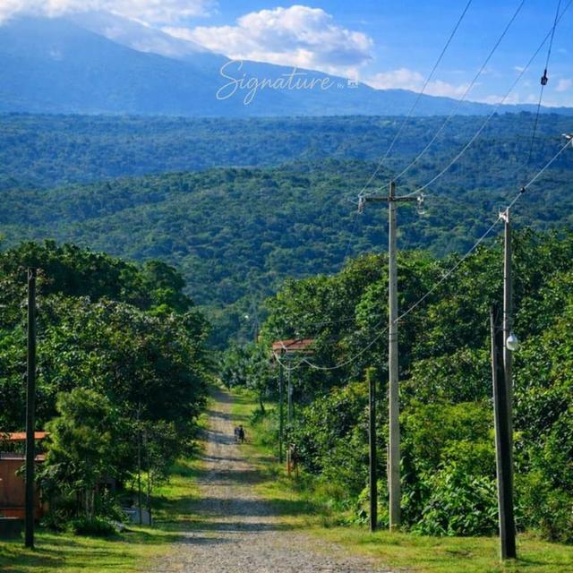 Foto de la galeria de imagenes