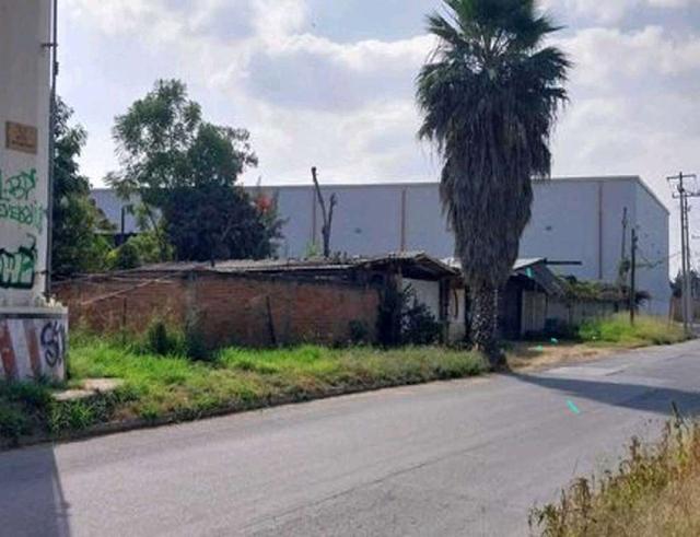 Foto de la galeria de imagenes